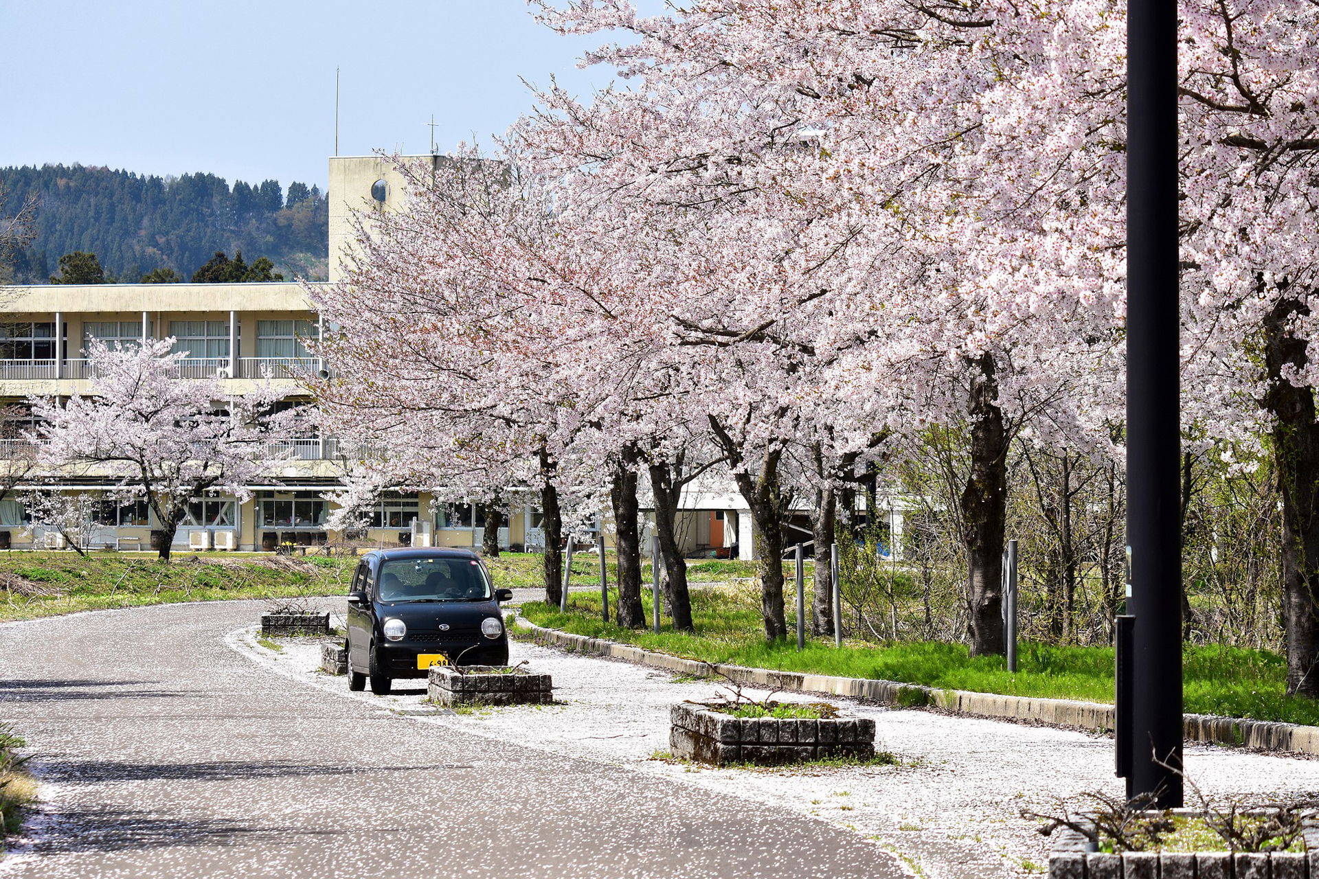 Driving-in-Japan