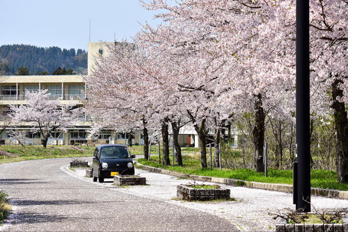 Alquiler de coches en Japón: consejos y precios 
