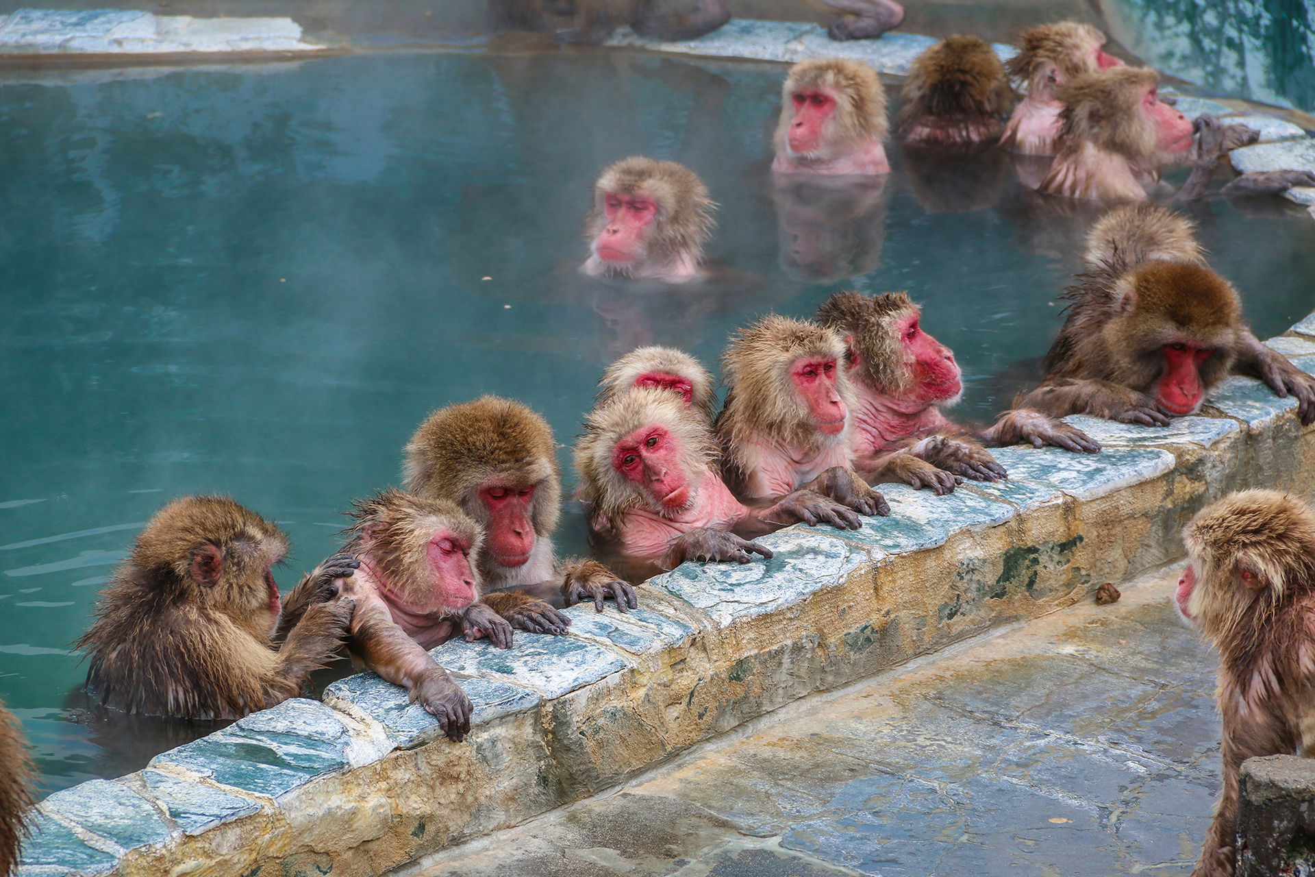 onsen-in-Japan