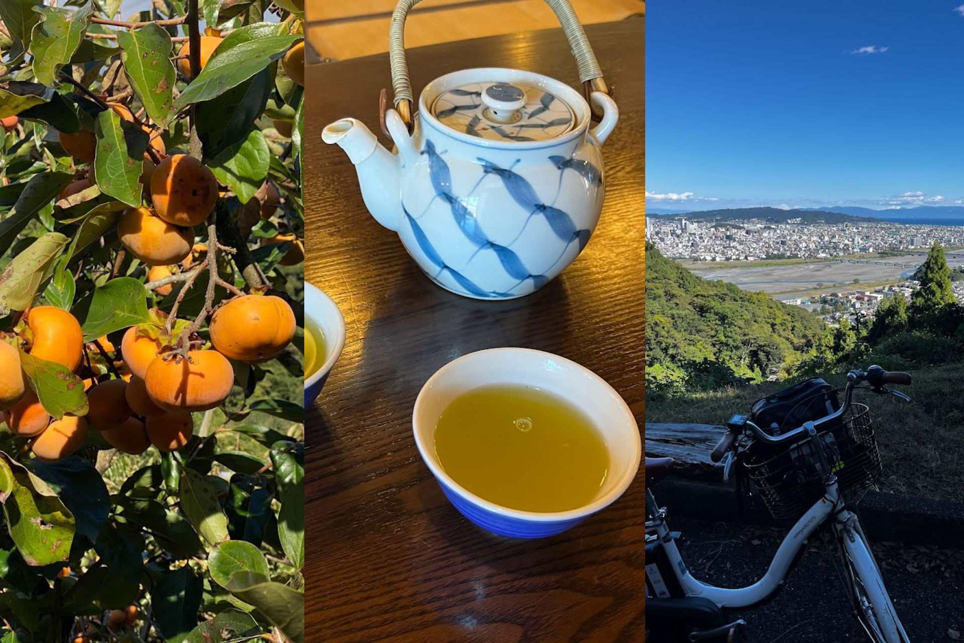 Shizuoka (préfecture de Shizuoka) - Guide de voyage