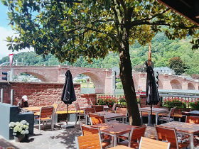 Cocodec Ausblick