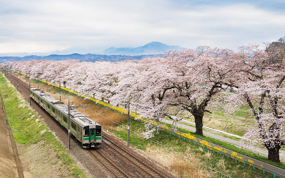 Japanese Railway